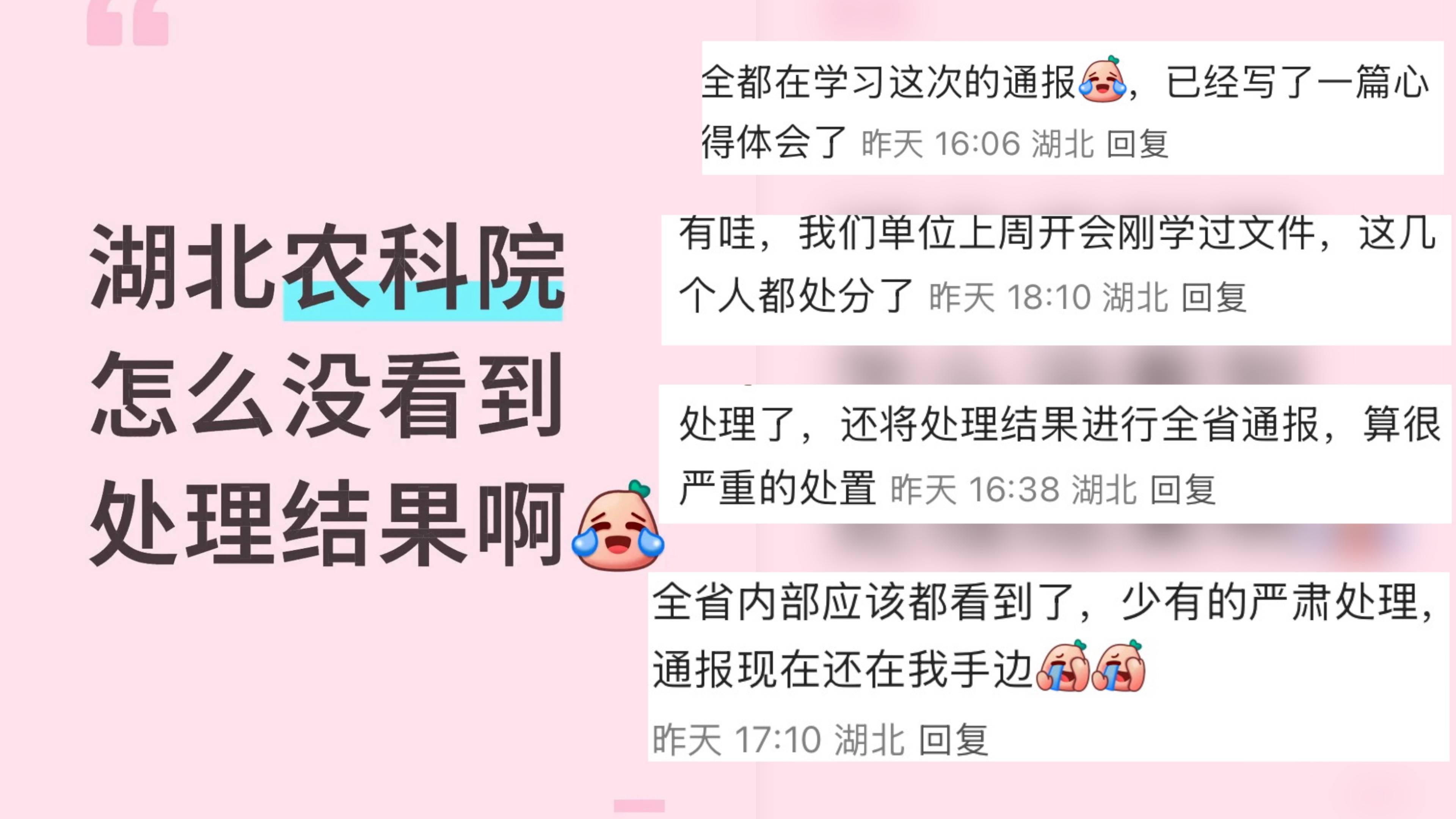 笔试倒数第二面试第一，湖北农科院曾被指“萝卜招聘”，调查结果已内部通报？多方回应