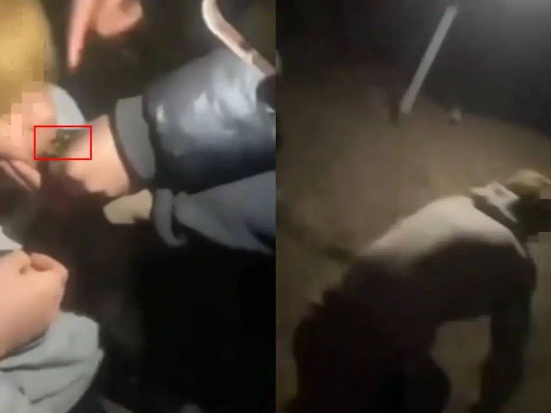 16岁男生遭多人欺辱殴打，被逼爬行学狗叫，甘肃警方回应