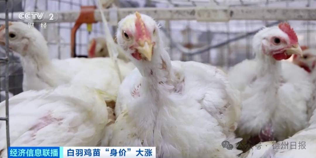 暴涨300%，供不应求！