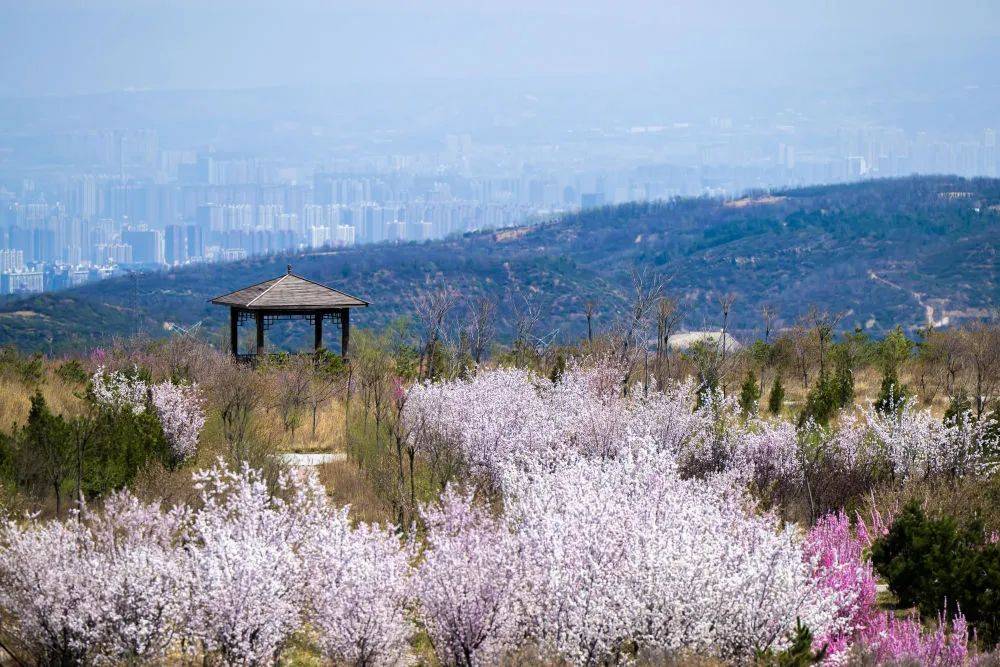 中央媒体关注山西｜晋祠泉复流记__中央媒体关注山西｜晋祠泉复流记