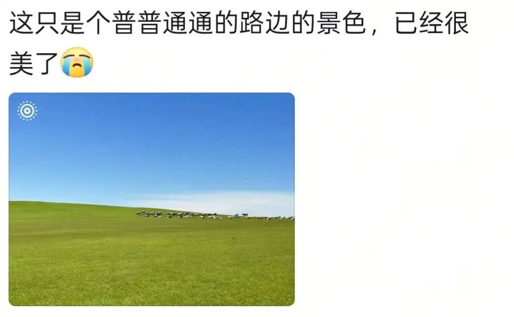 新疆男子在外工作偶然回家，父亲骑马飞奔迎接，感人一幕被拍下：爸爸快马加鞭从羊群赶回来