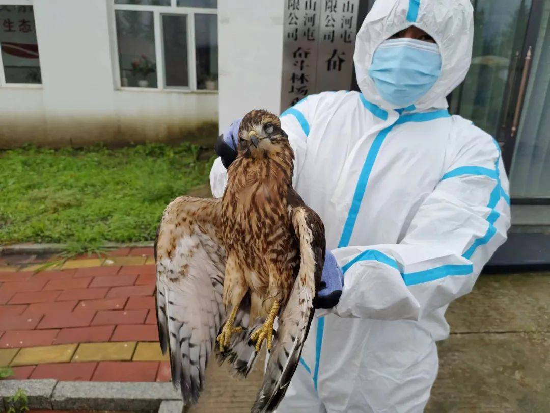 【民生筑企】奋斗林场：开展野生动物疫源疫病应急演练 筑牢生态安全防线
