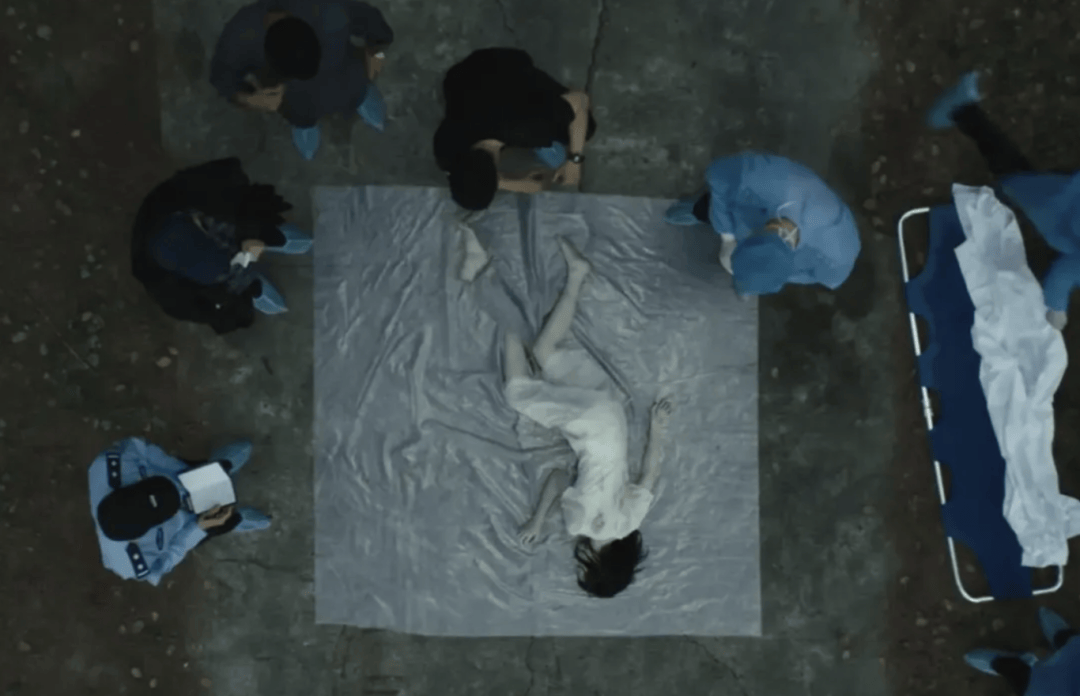 他一露面,就想连追十集