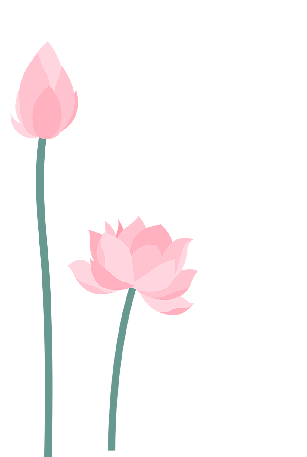 一池荷花盛放,碧叶连天,粉蕊摇曳,成为夏日里动人的风景