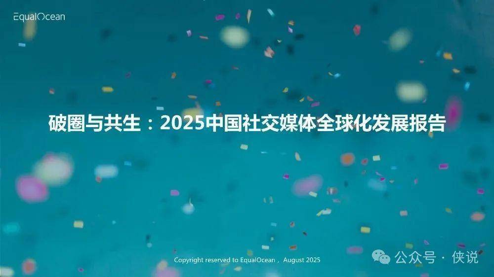 2025中国社交媒体全球化发展报告 