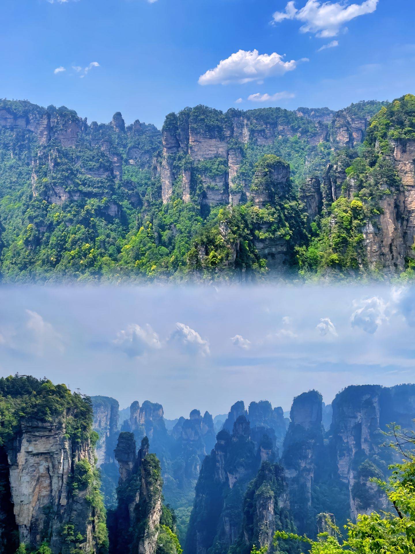 张家界三日游
