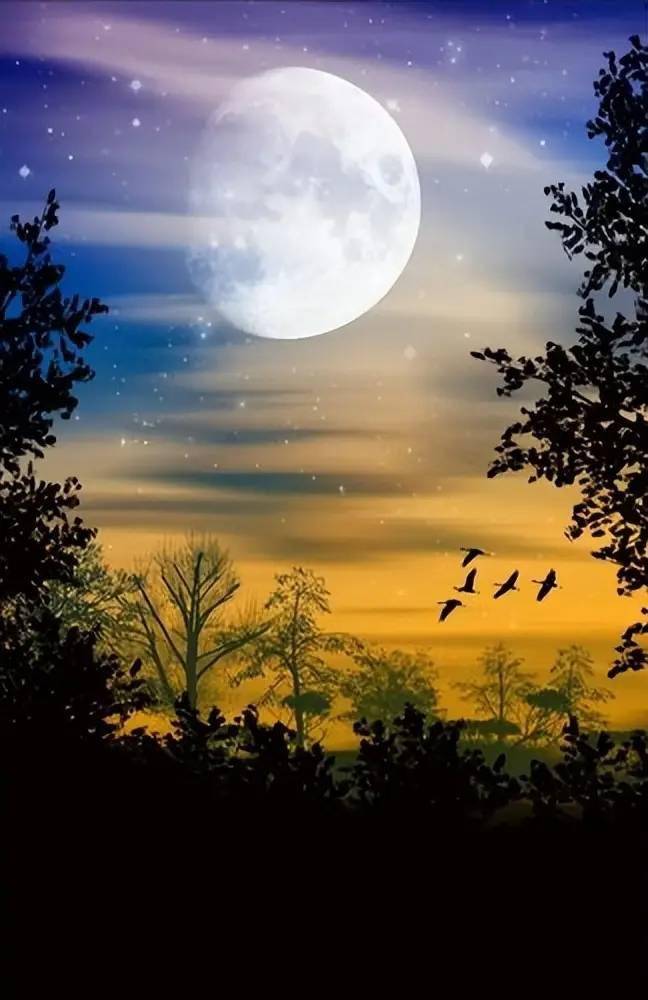 唐代诗人笔下的唯美秋夜,雨中山果落,灯下草虫鸣