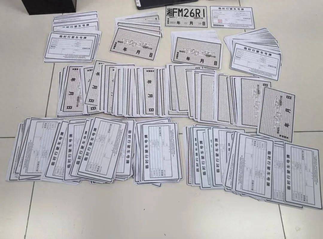 多名年逾七旬老人申领进口豪华车临时牌照？法院判了