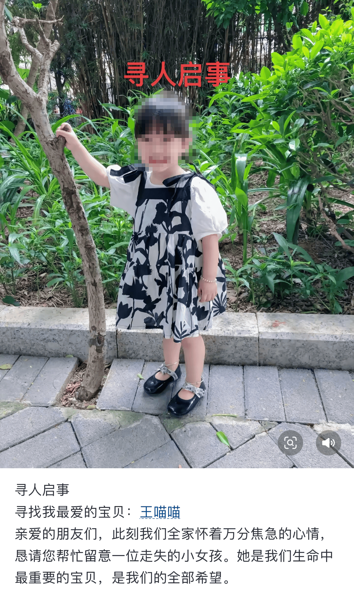 从骗捐寻亲到退款 P 图，为什么AI越来越让人失望？