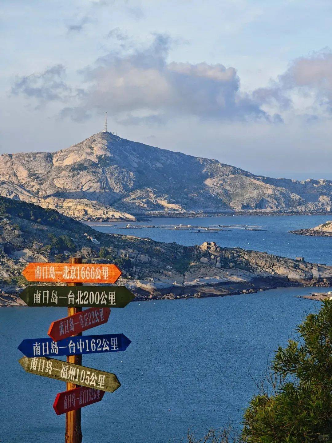 南日岛放羊记:来海岛做闲散牧人,寻找那松弛时光