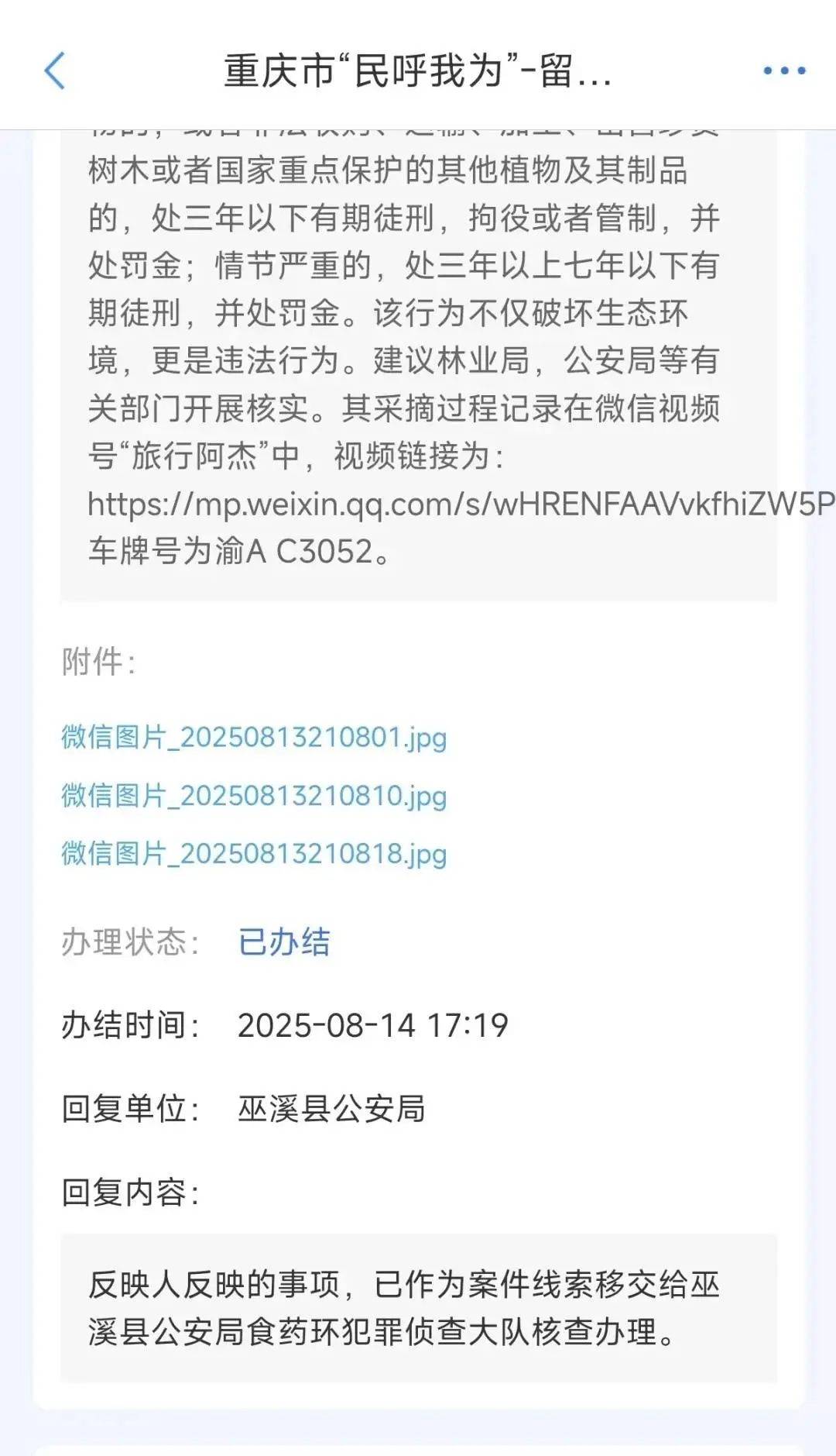 户外博主私采国家二级保护植物“崖白菜”？重庆警方已介入调查，律师：或触犯刑法