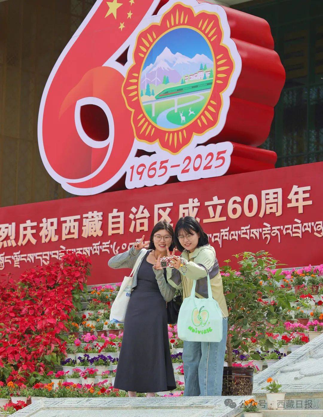 西藏自治区成立60年来民族团结进步事业综述