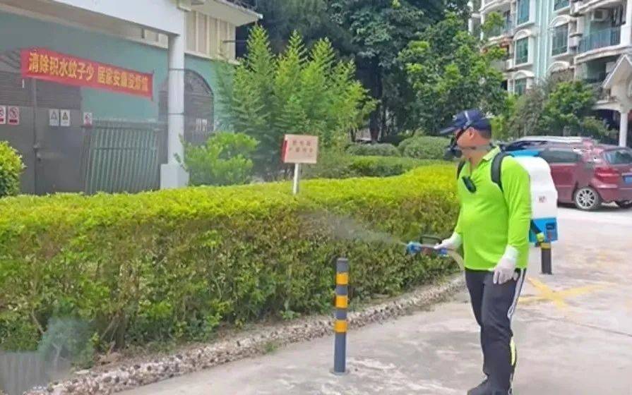 蚊子已产生抗药性？关于基孔肯雅热，专家解答