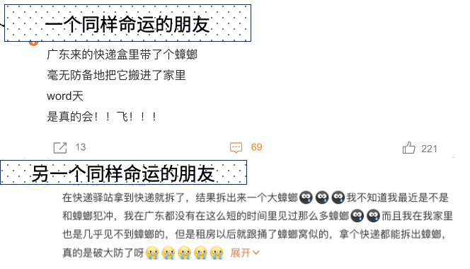 小心！你的快递正在“偷渡”小强！