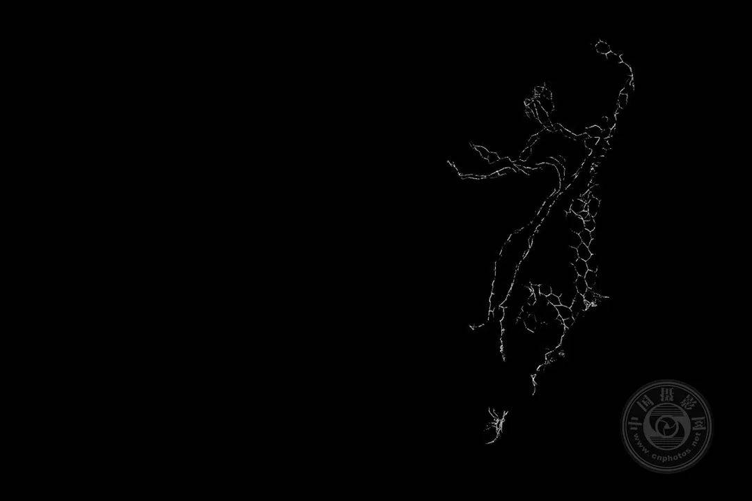 揭晓| 2025年黑白摄影大赛