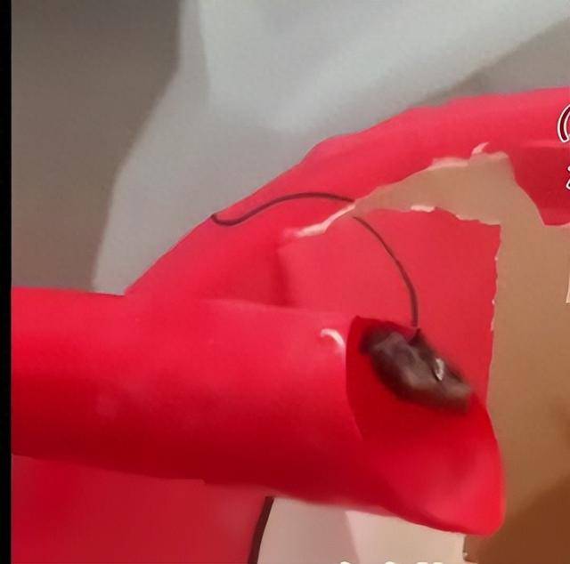 太恶心！蜜雪冰城被曝喝出2只苍蝇：工作人员称