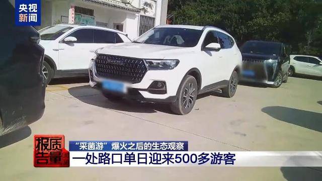 云南大理“采菌游”爆火 无序采摘已引发多起警情