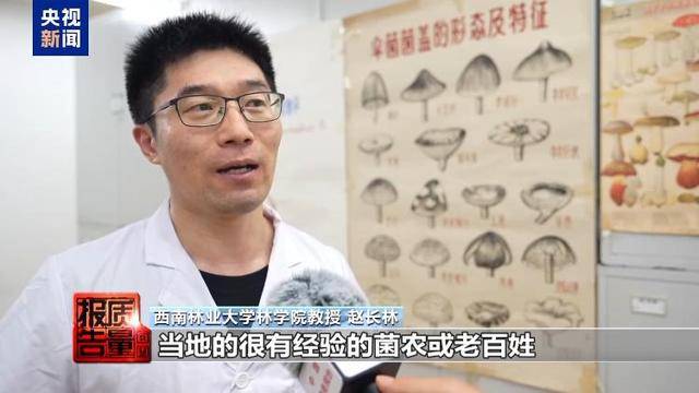 云南大理“采菌游”爆火 无序采摘已引发多起警情