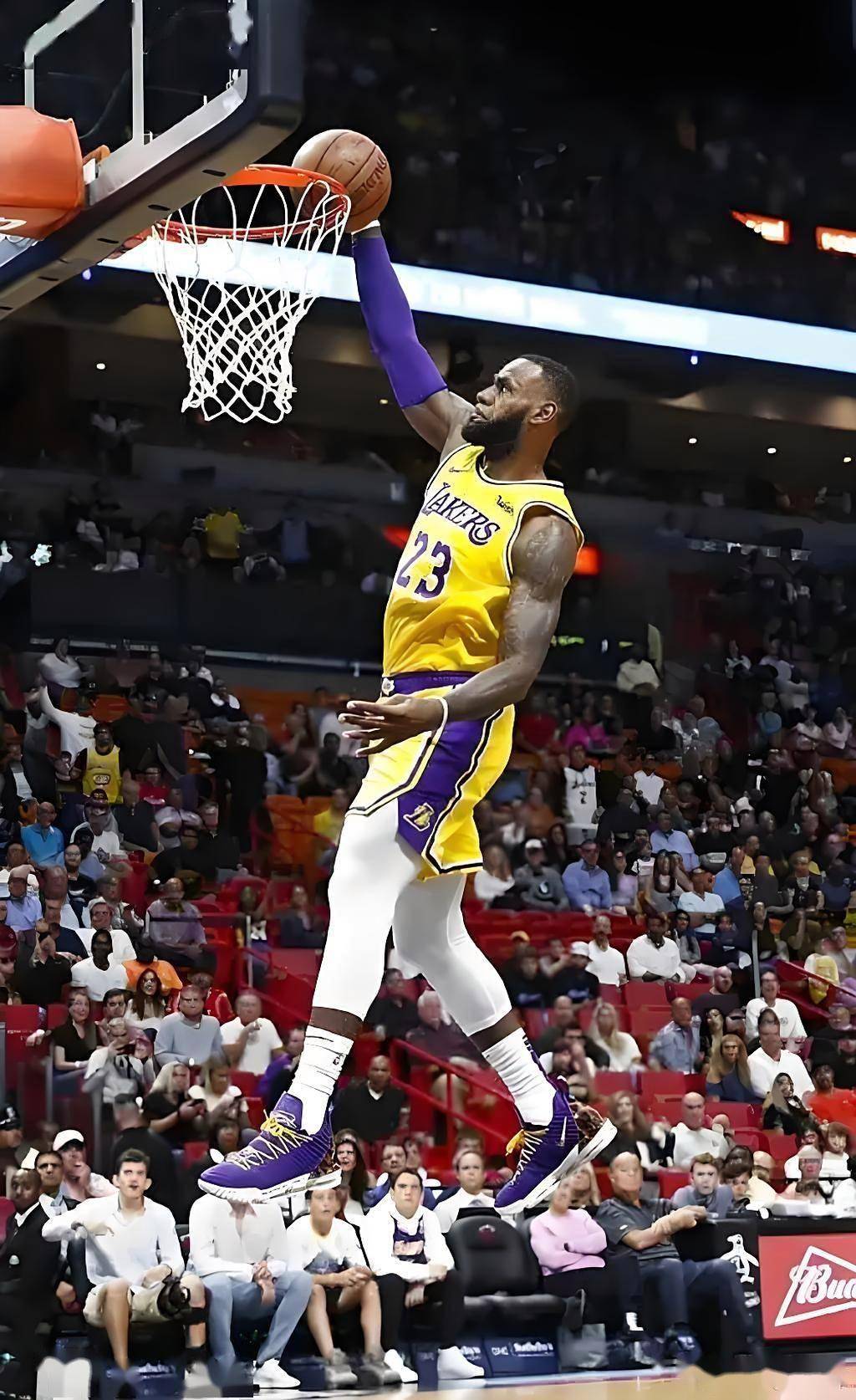 nba历史上扣篮最多的十名球星排行榜