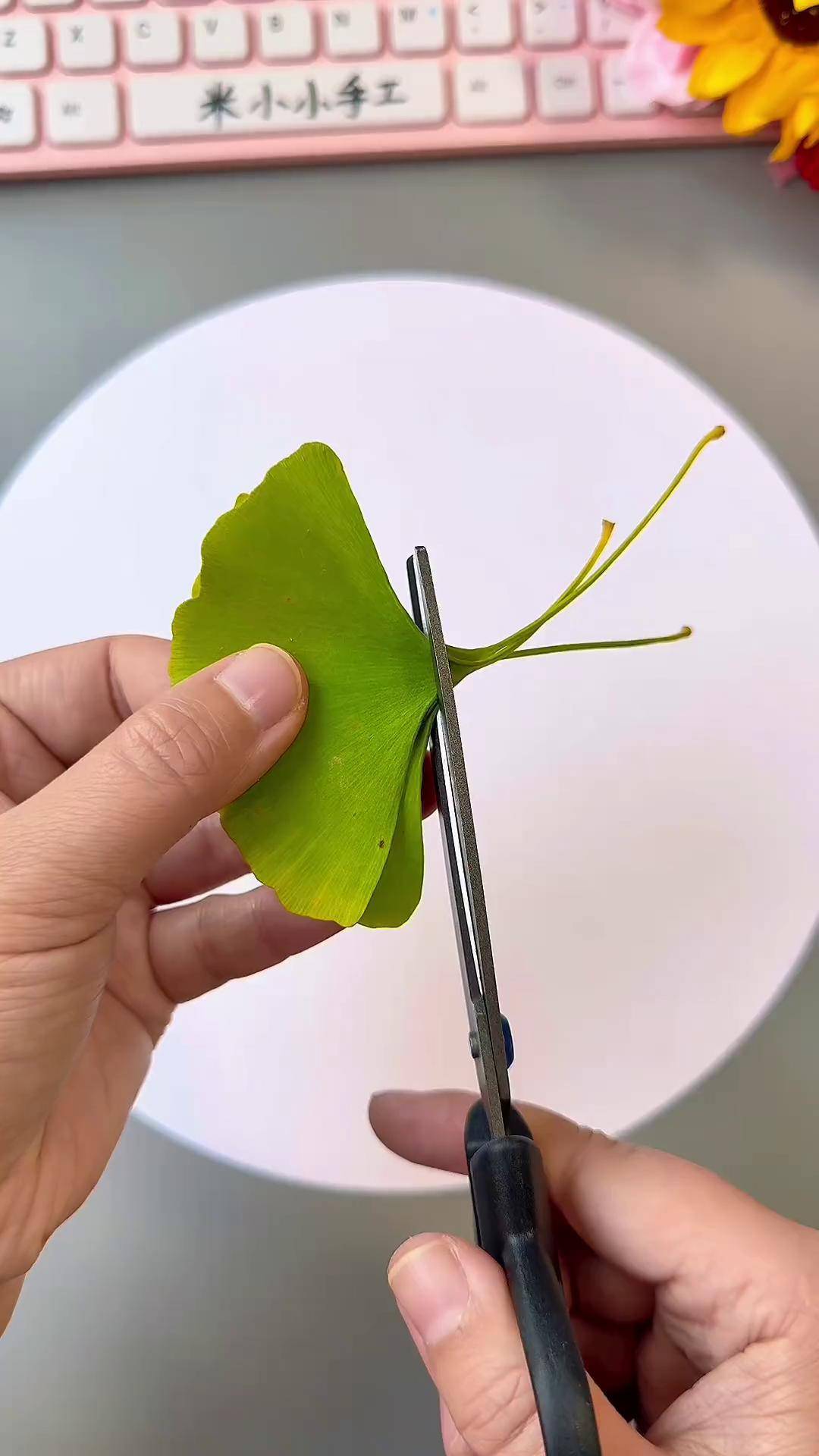 捡一些树叶做创意贴画《年年有鱼》,简单又好看幼儿园手工 亲子手工