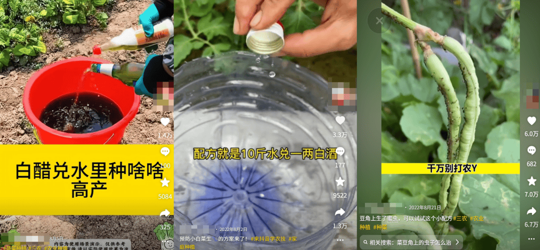 为了骗农民的钱，这群人注册了上千个账号。