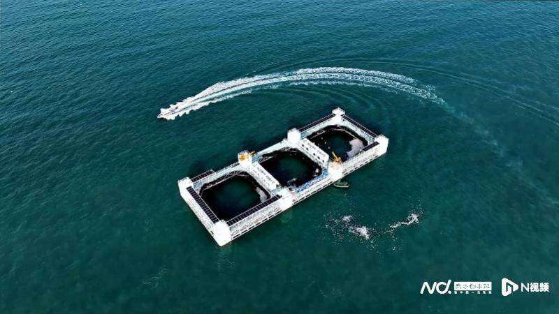 粤东西北“零的突破”！3名湛江博士入选“香江学者”计划