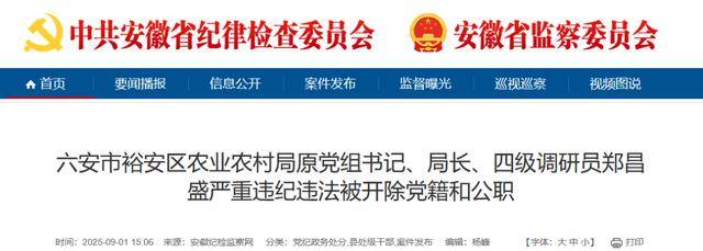安徽省纪委监委集中通报！“查方军被查，何启智、郑昌盛被双开”