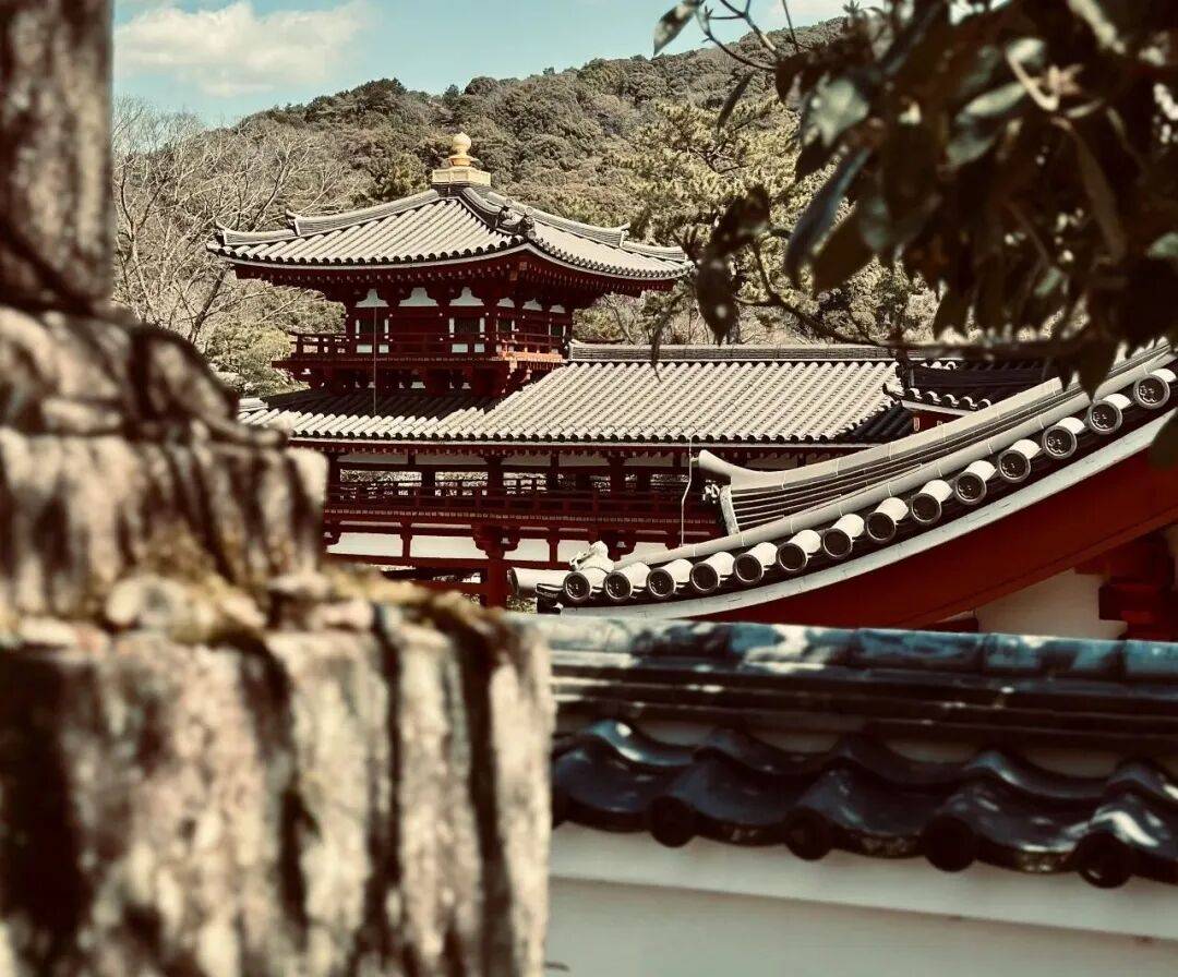 印乐上任首月，少林寺的变与不变