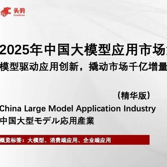 头豹：2025年中国大模型应用市场洞察白皮书：模型驱动应用创新，撬动市场千亿增量-精华版