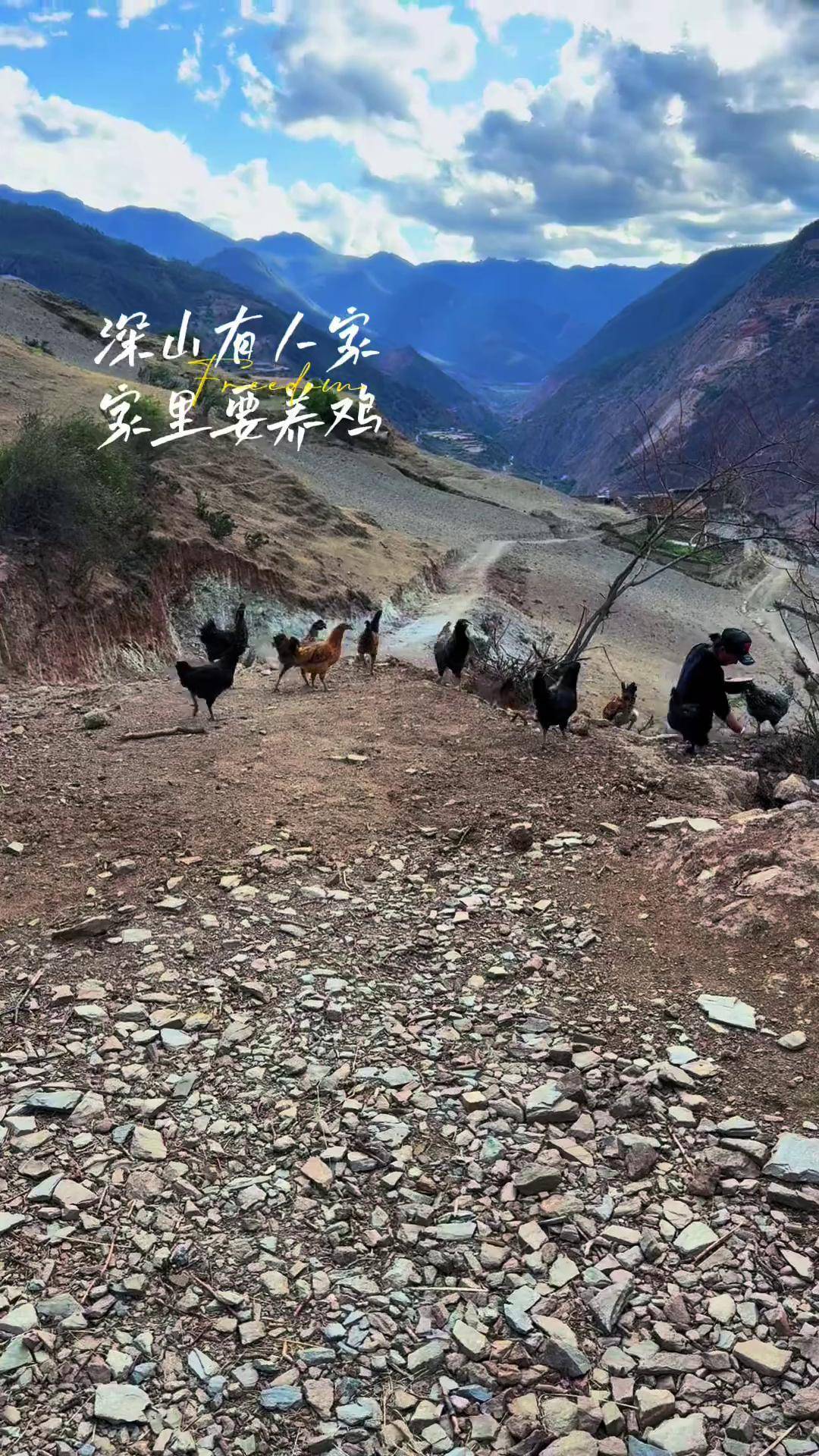 这是姐姐的生活我的乡村生活 俄亚大村 农村生活 农村 大山里的生活