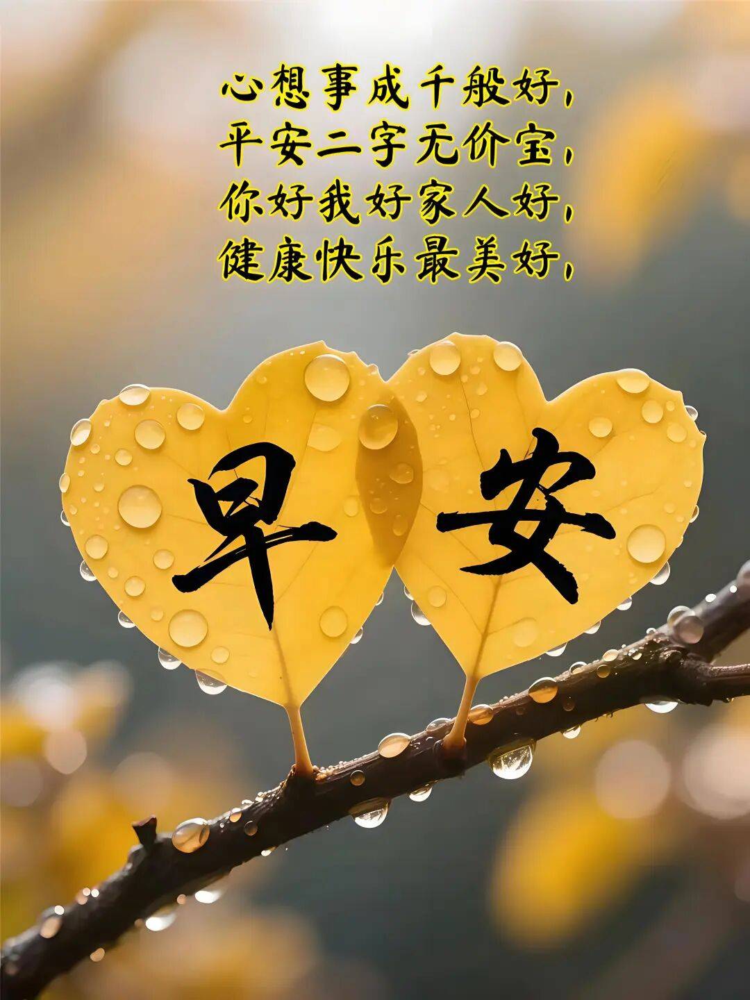 9月5日最漂亮早上好动态表情图片大全,早晨好动图美图大全