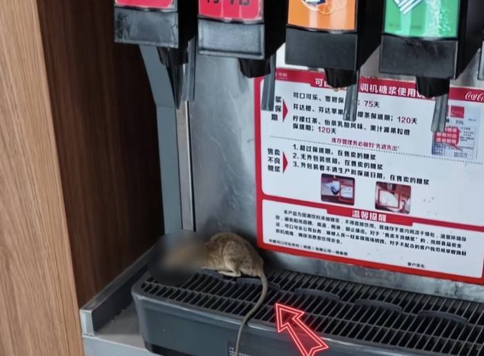 魏家凉皮西安一门店饮料机出现老鼠续：警方称案件正在调查中