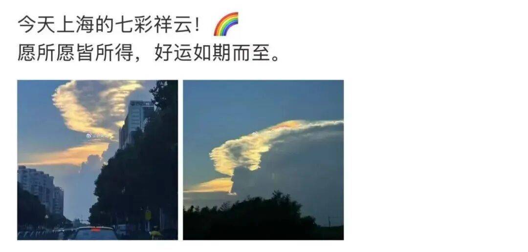 今日白露，上海最高温仍可达37℃！多人拍下这一幕，网友纷纷“接好运”