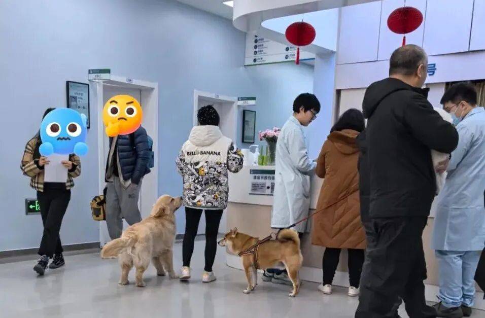 新型「销金窟」，捞了中国人3000亿？