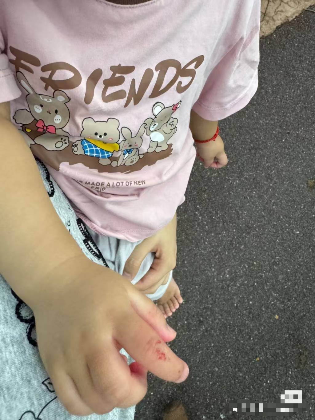 黑猩猩丢石头砸伤1岁幼童，广州长隆回应