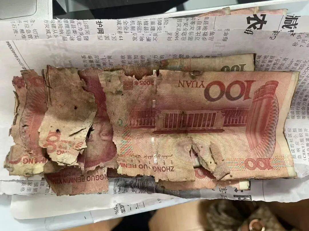 大连一老人将10万元现金埋地下，两年后挖出来一看，蒙了…