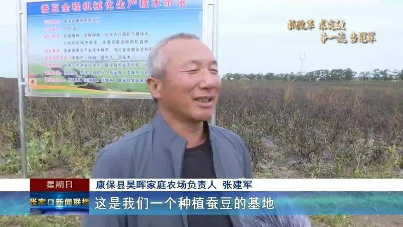 【抓改革 求突破 争一流 当冠军】科技赋能秋收 张家口食用豆全机械化收割按下“快进键”