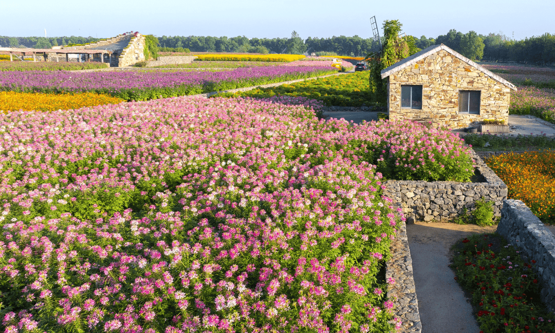 三台山秋季花海地图新鲜出炉,这波花期预告请收好!