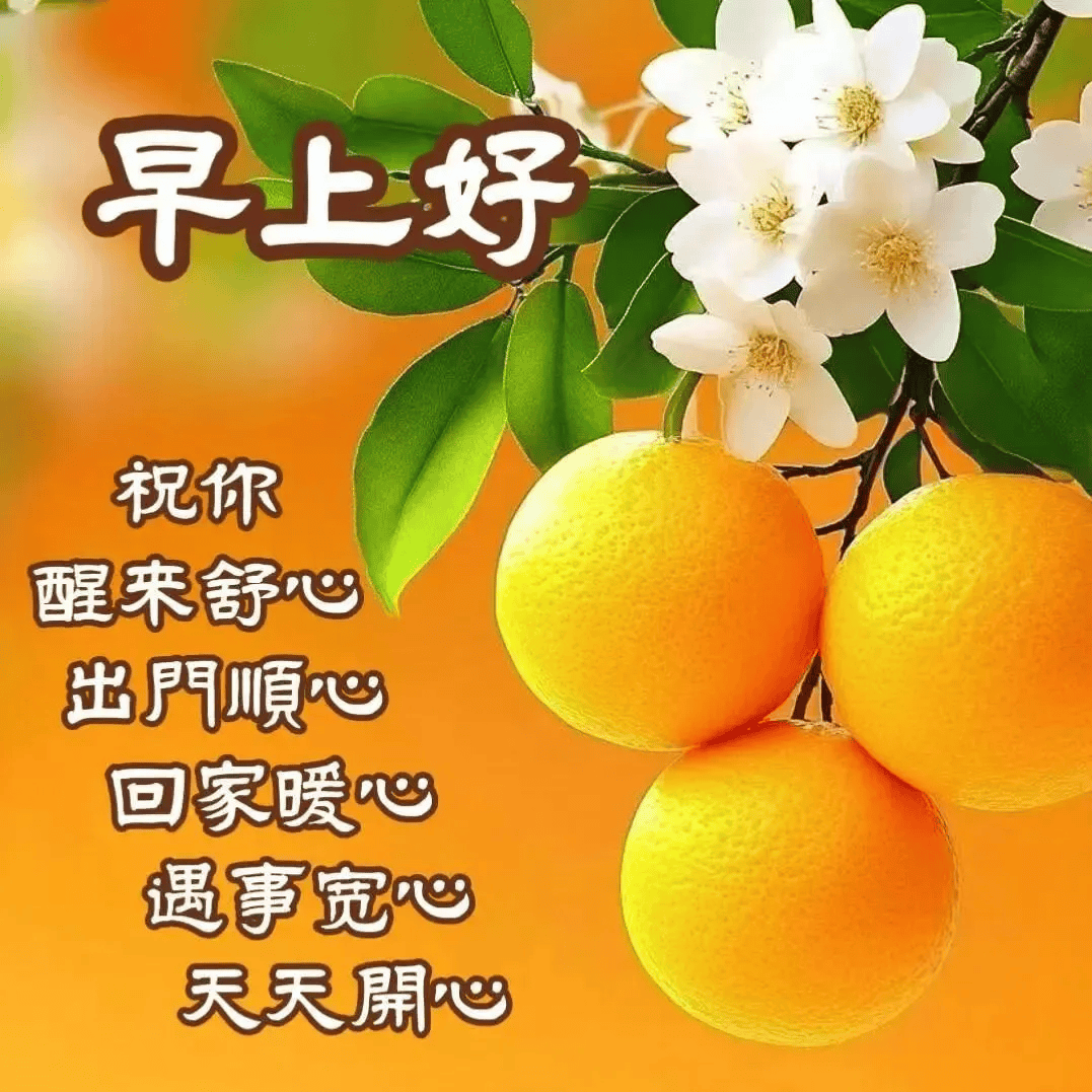 今天最新早上好早安祝福表情包图片,健康快乐,幸福美满!