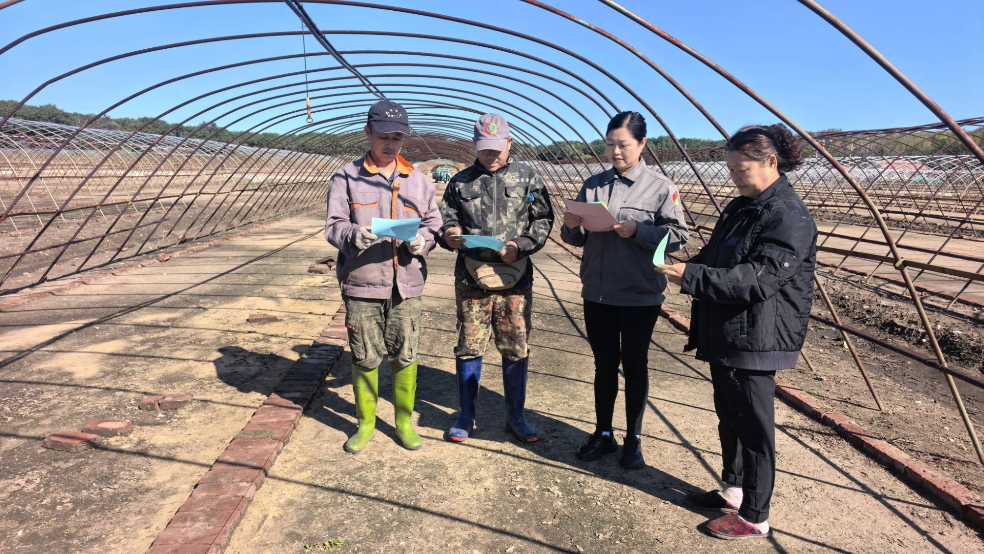 聚焦北大荒军川农场：秋收安全早发力 农机穿上“反光衣”