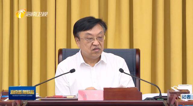 海南省委这一领导小组开会，现场曝光负面案例