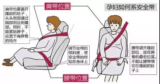 系VS不系:安全带的关键作用_搜狐汽车_搜狐网