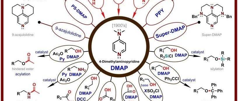 Dmap Wi 常用试剂----DMAP_反应_files_催化剂