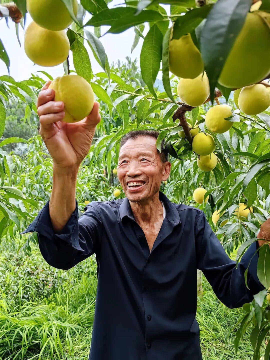 仁怀秋收的快乐真是