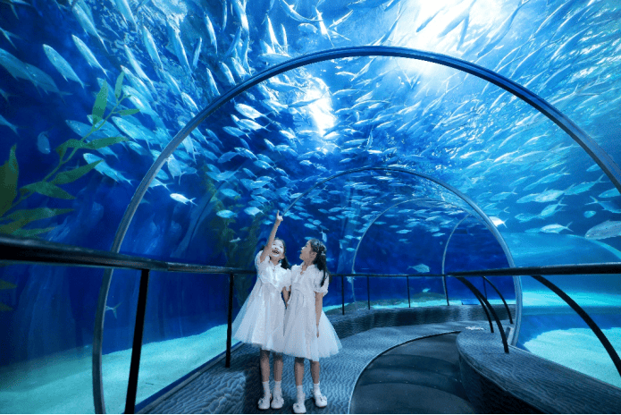 “看，谁在海里发光！”金秋十月，来上海海洋水族馆寻找会发光的海洋精灵