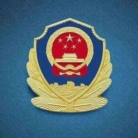 我为青年办实事丨合川区公安局招募210名警务辅助人员,快来报名~_招聘_工作_重庆