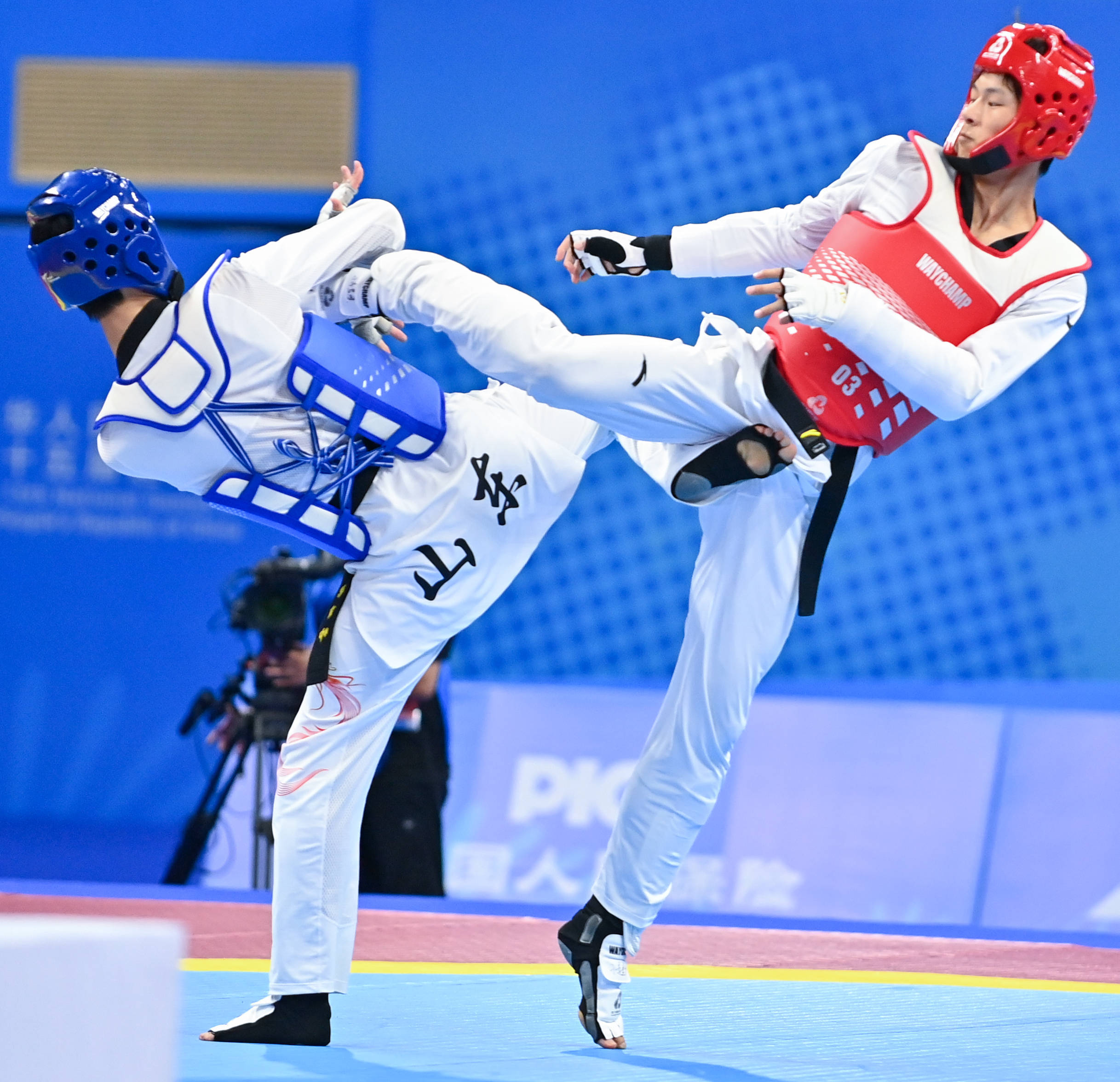 (全运会)跆拳道