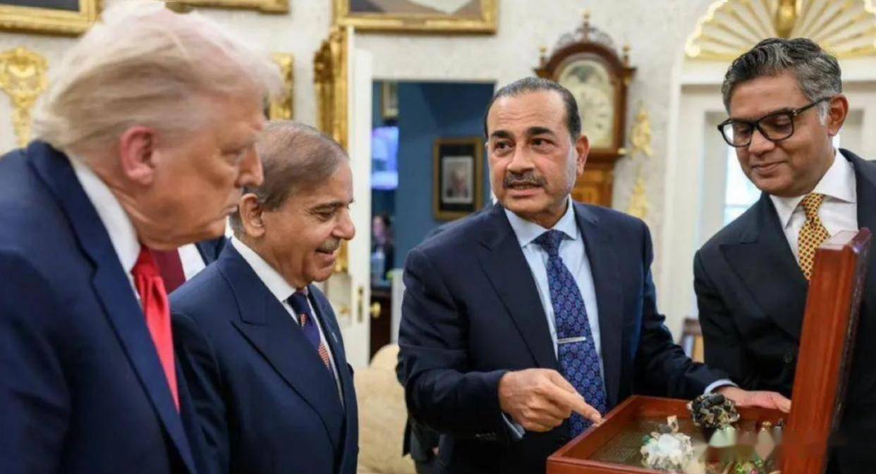 巴基斯坦突然宣布了！巴基斯坦陆军元帅阿西姆·穆尼尔访问白宫，向美国总统特朗普赠送了一批稀土矿物样品_搜狐网