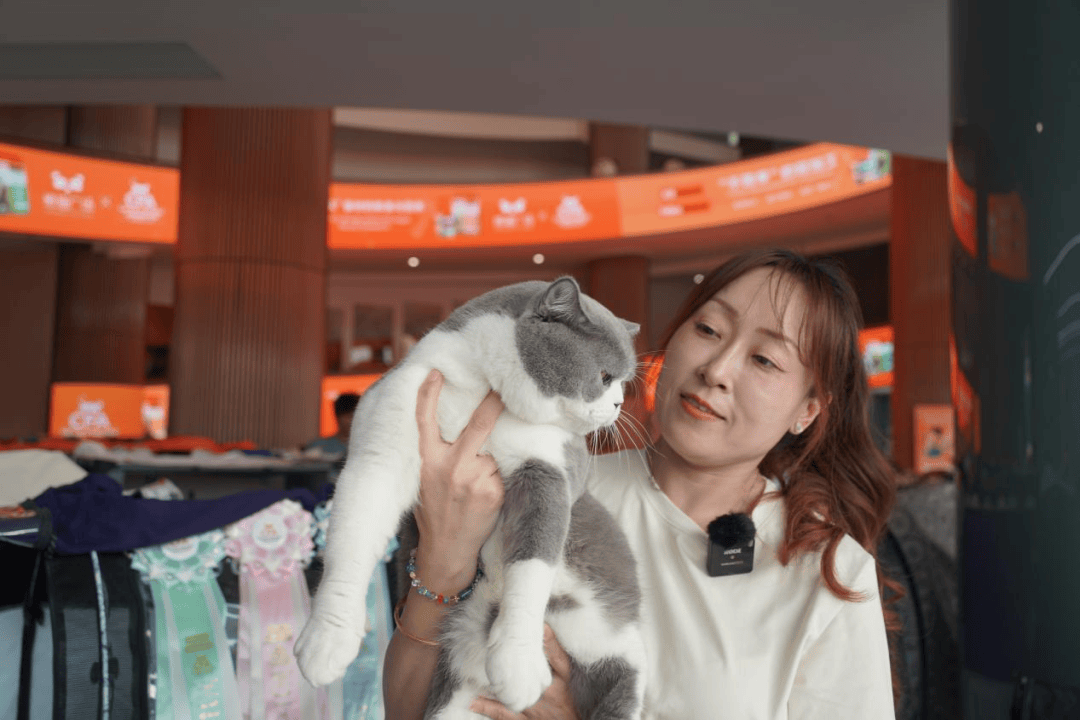 这场"世界级猫赛"走进青浦,助力"它经济"