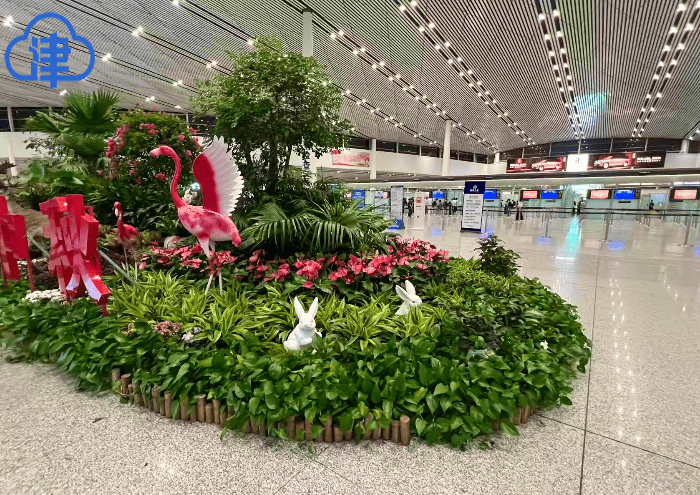 天津国庆“多巴胺花境”打卡合集来了！全城宝藏点位，免费又出片，别错过！